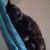 Profilbild von Babsi